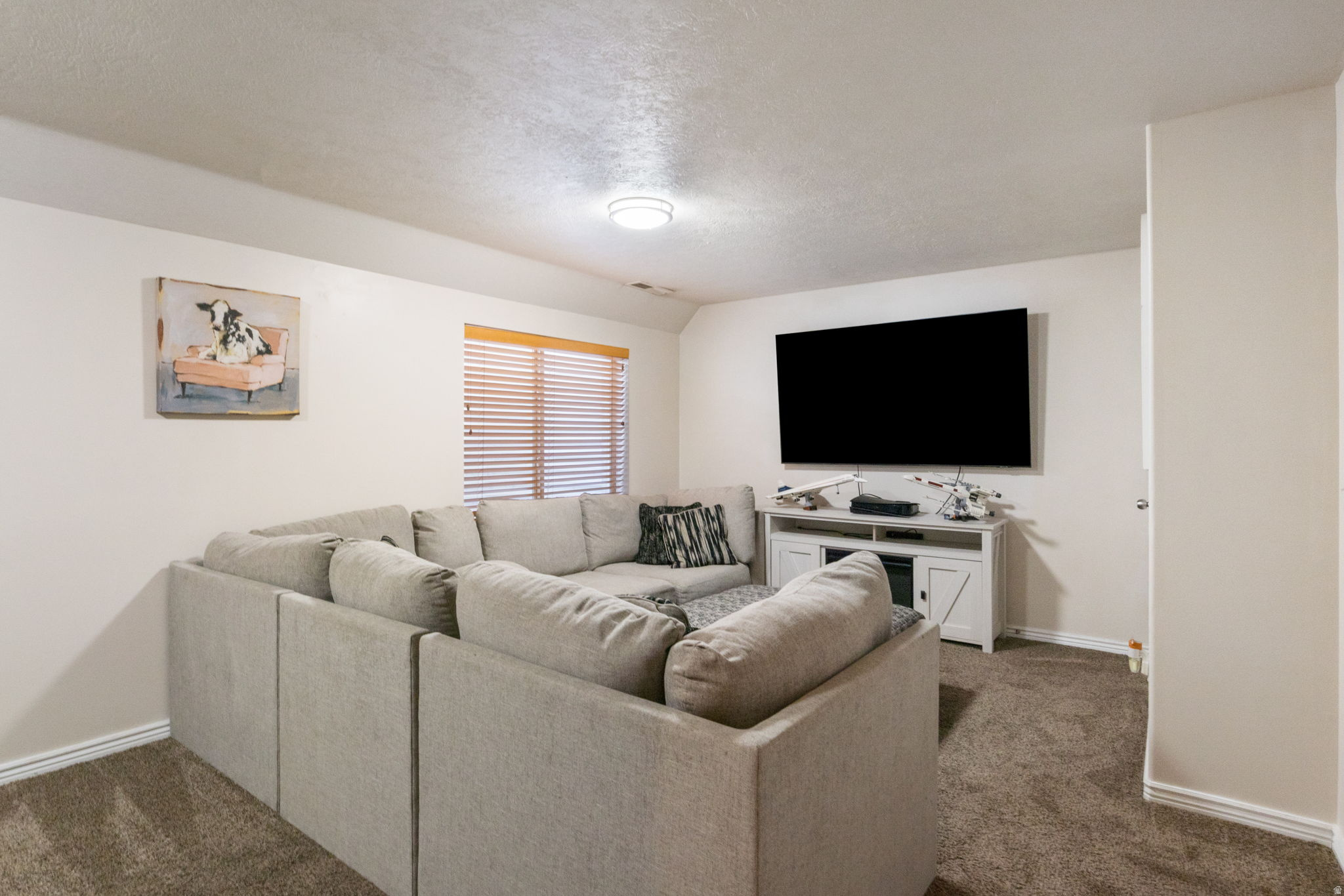 12238 S MADISON VIEW DR