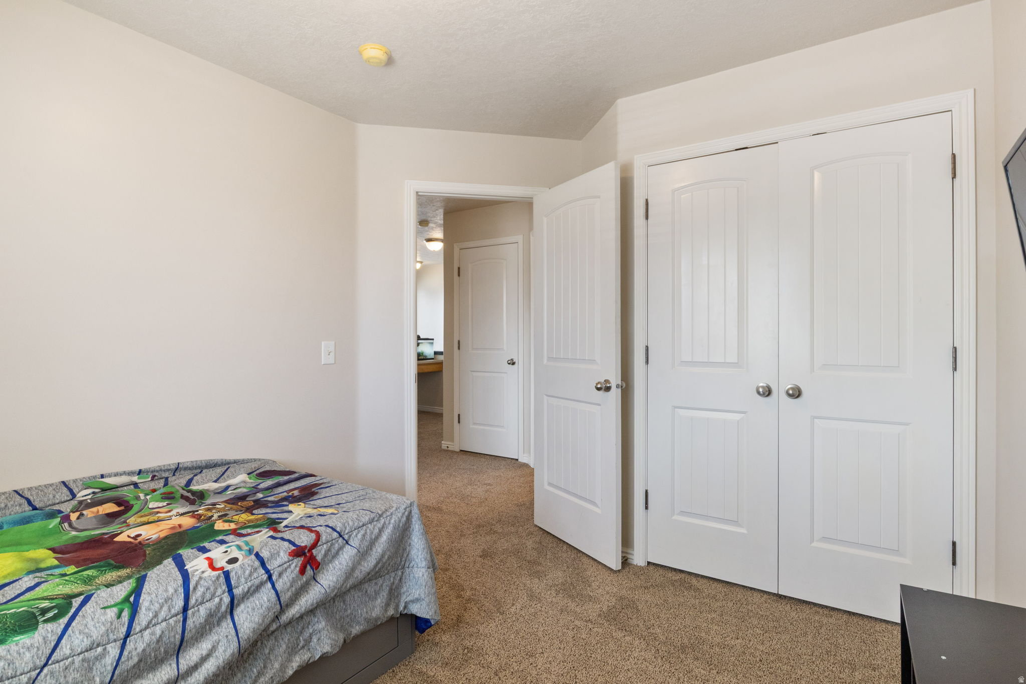 12238 S MADISON VIEW DR