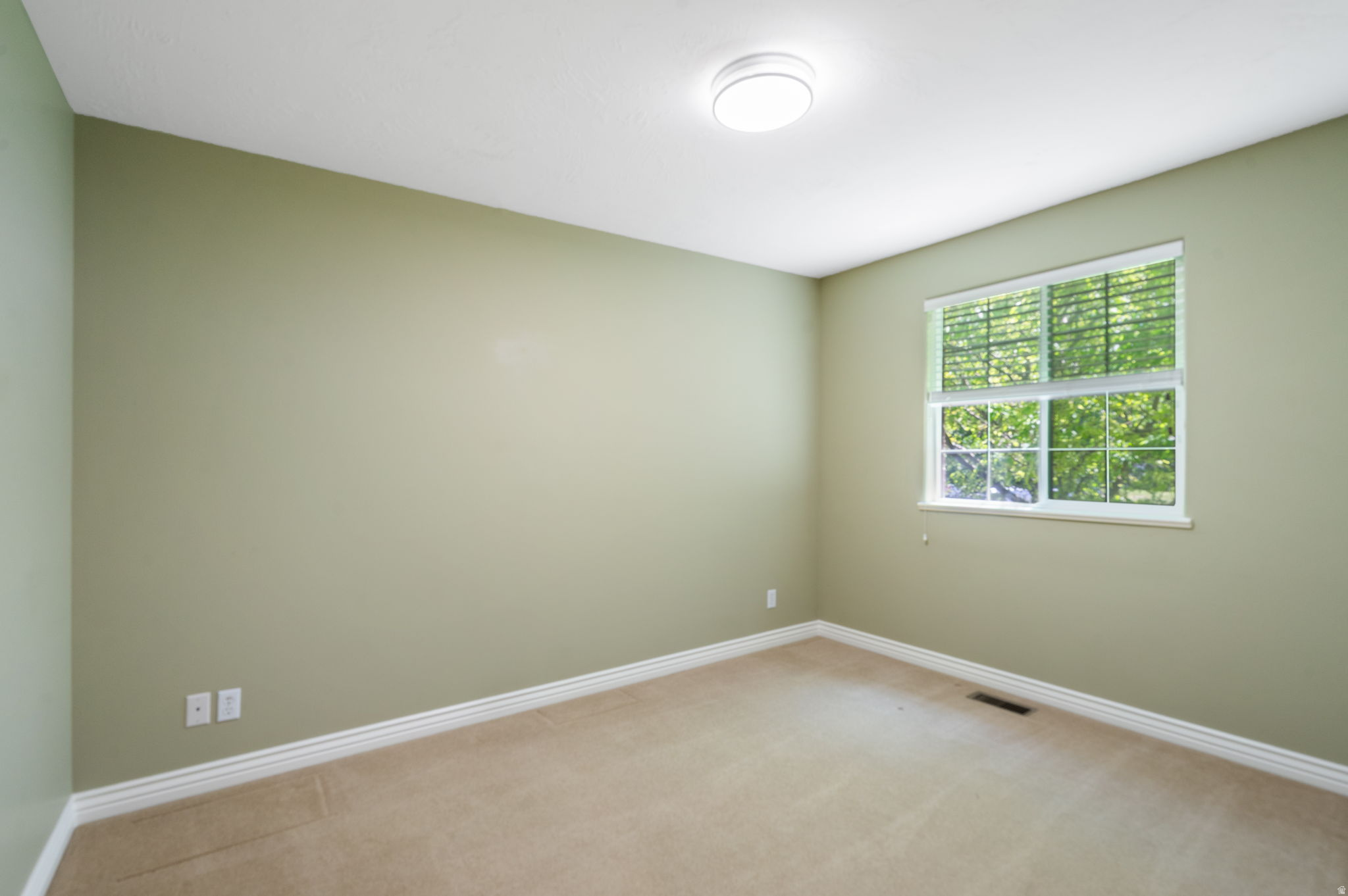 313 E GOLDEN PHEASANT DR