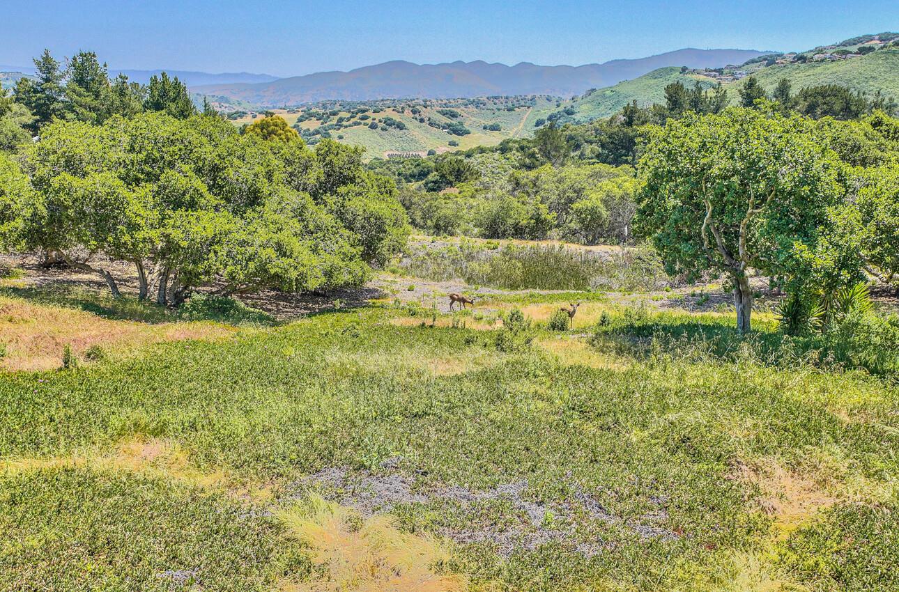 10620 Hidden Mesa PL 8