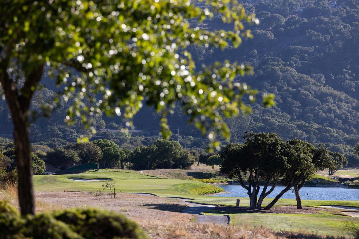 106 Las Brisas Drive