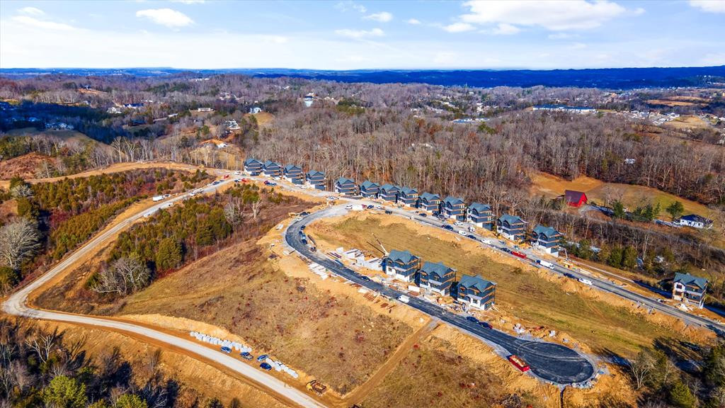 268 Rambling Creek Way Way Unit: Lot 84R