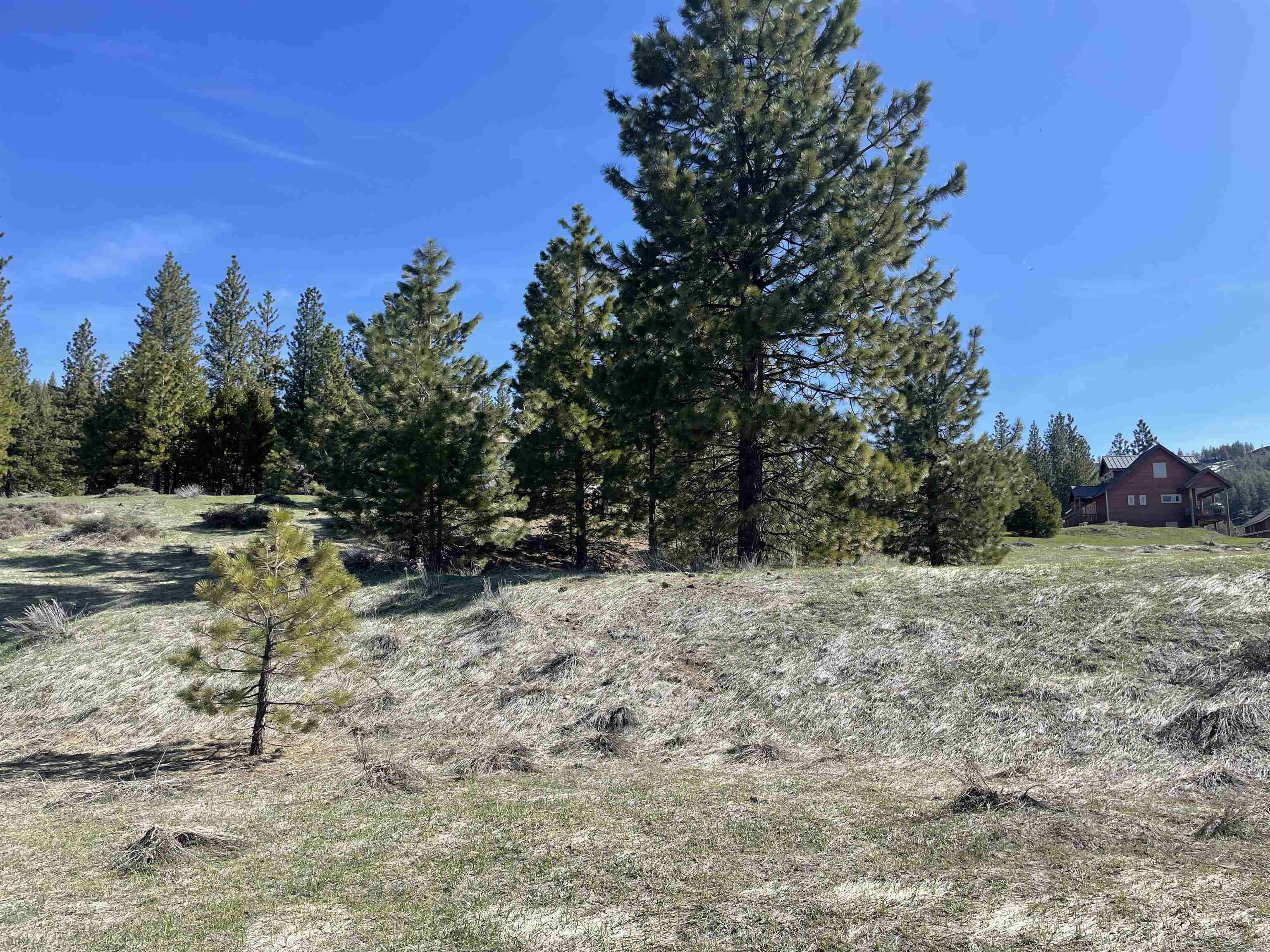 3353 Fawn Lane