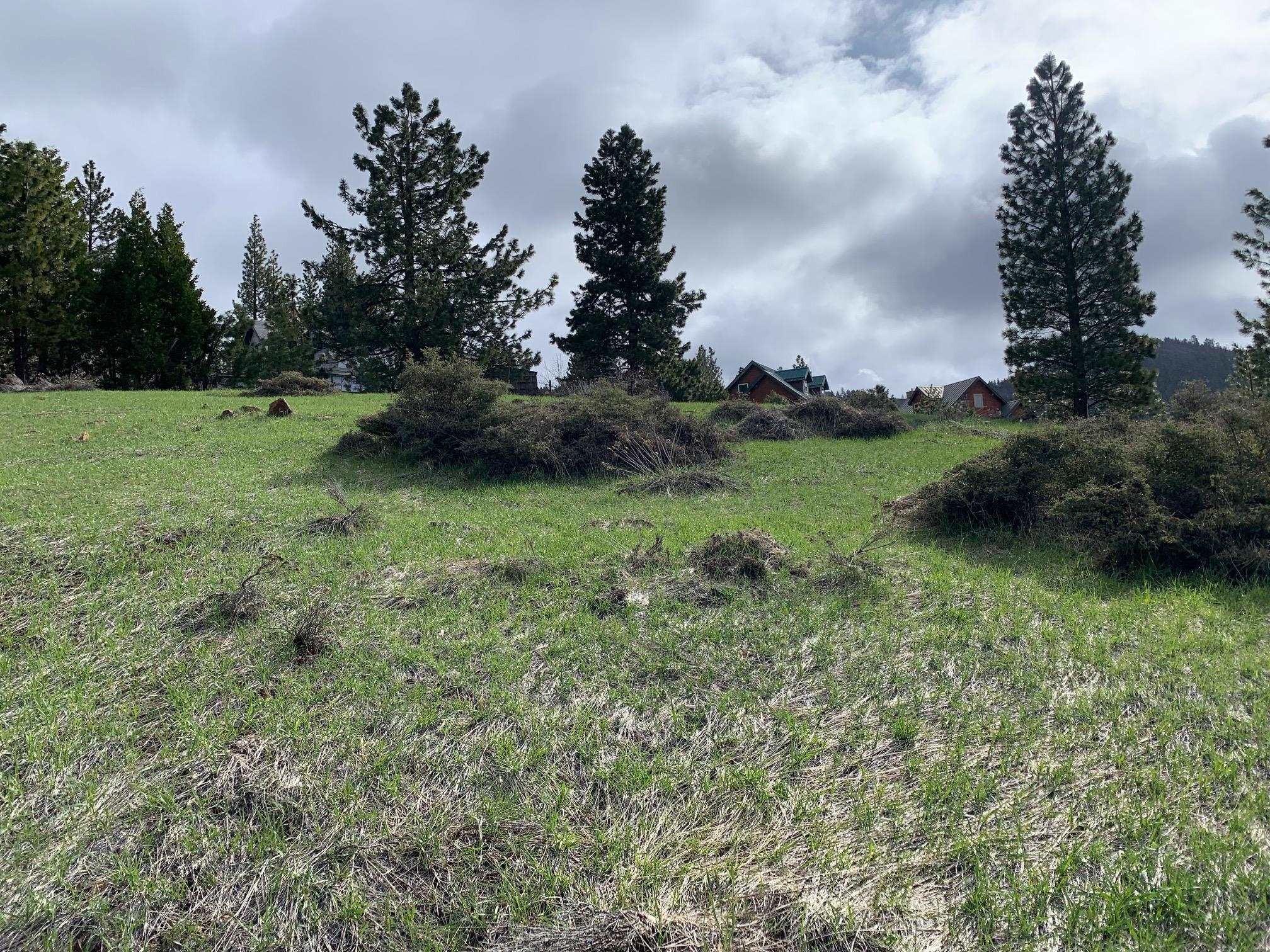 3345 Fawn Lane