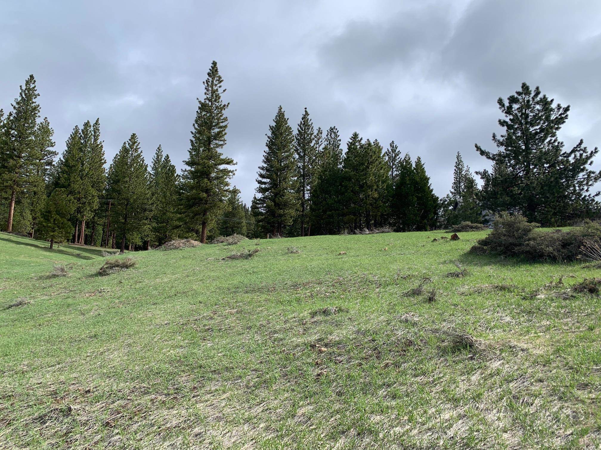 3345 Fawn Lane