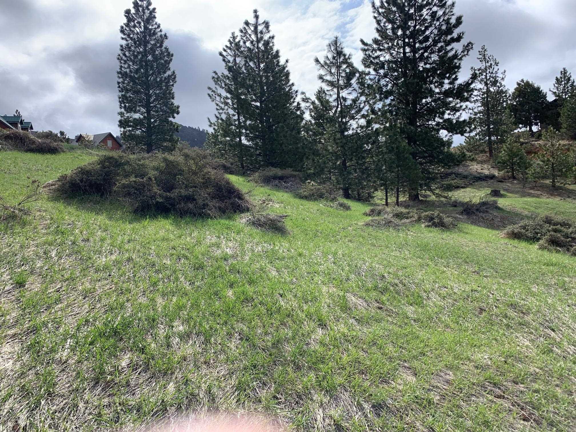 3345 Fawn Lane