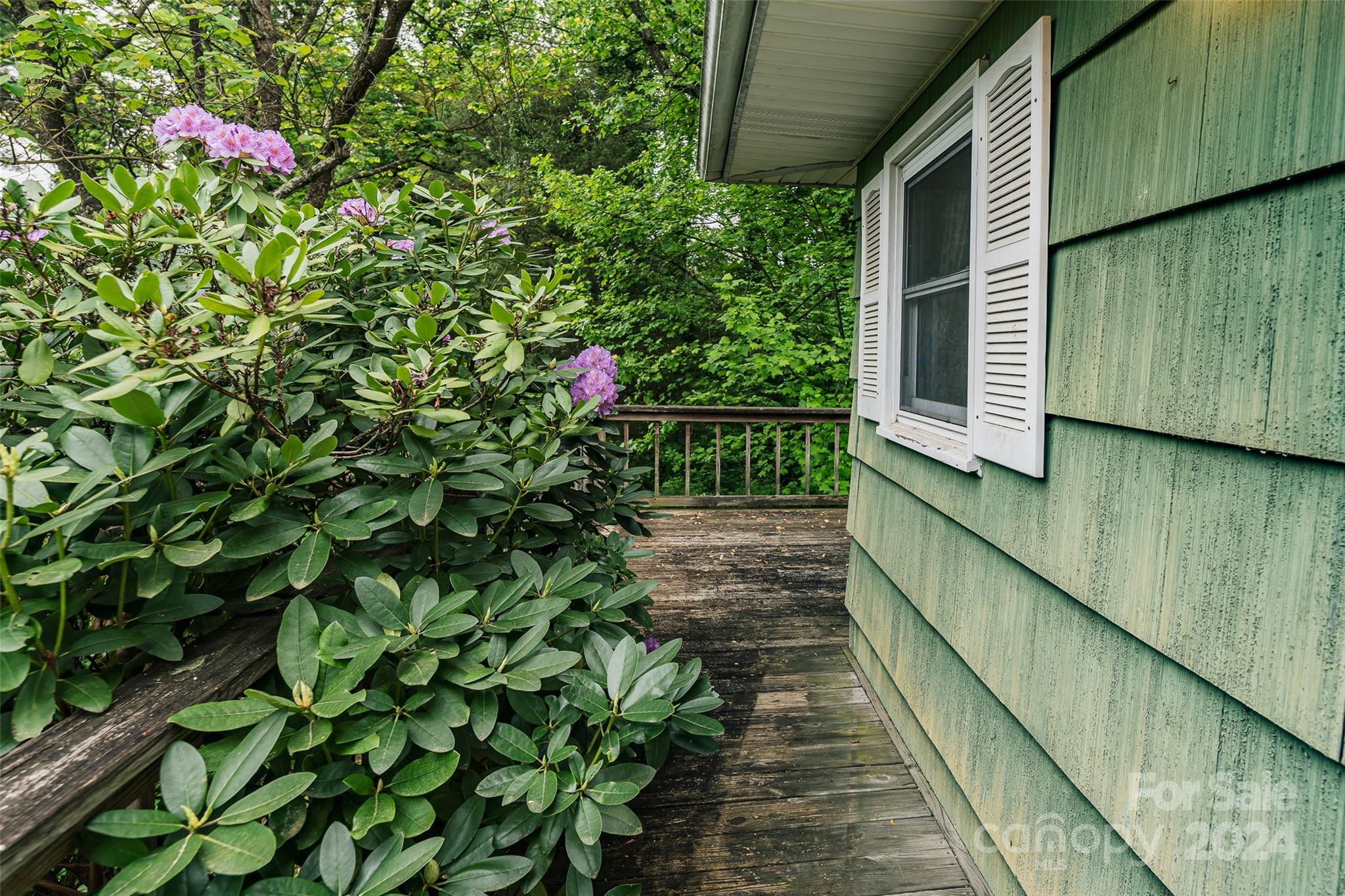 15 Pinedale Road