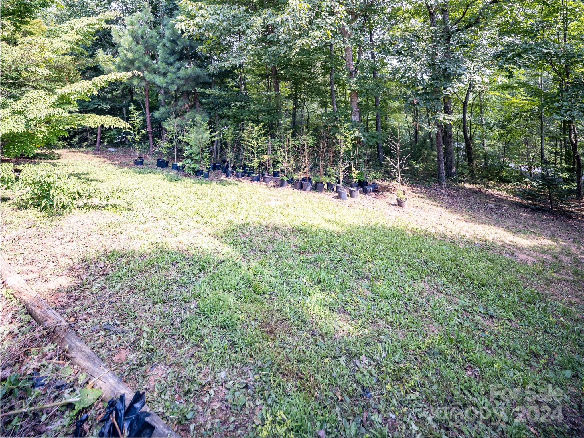 115 Sleepy Forest Drive