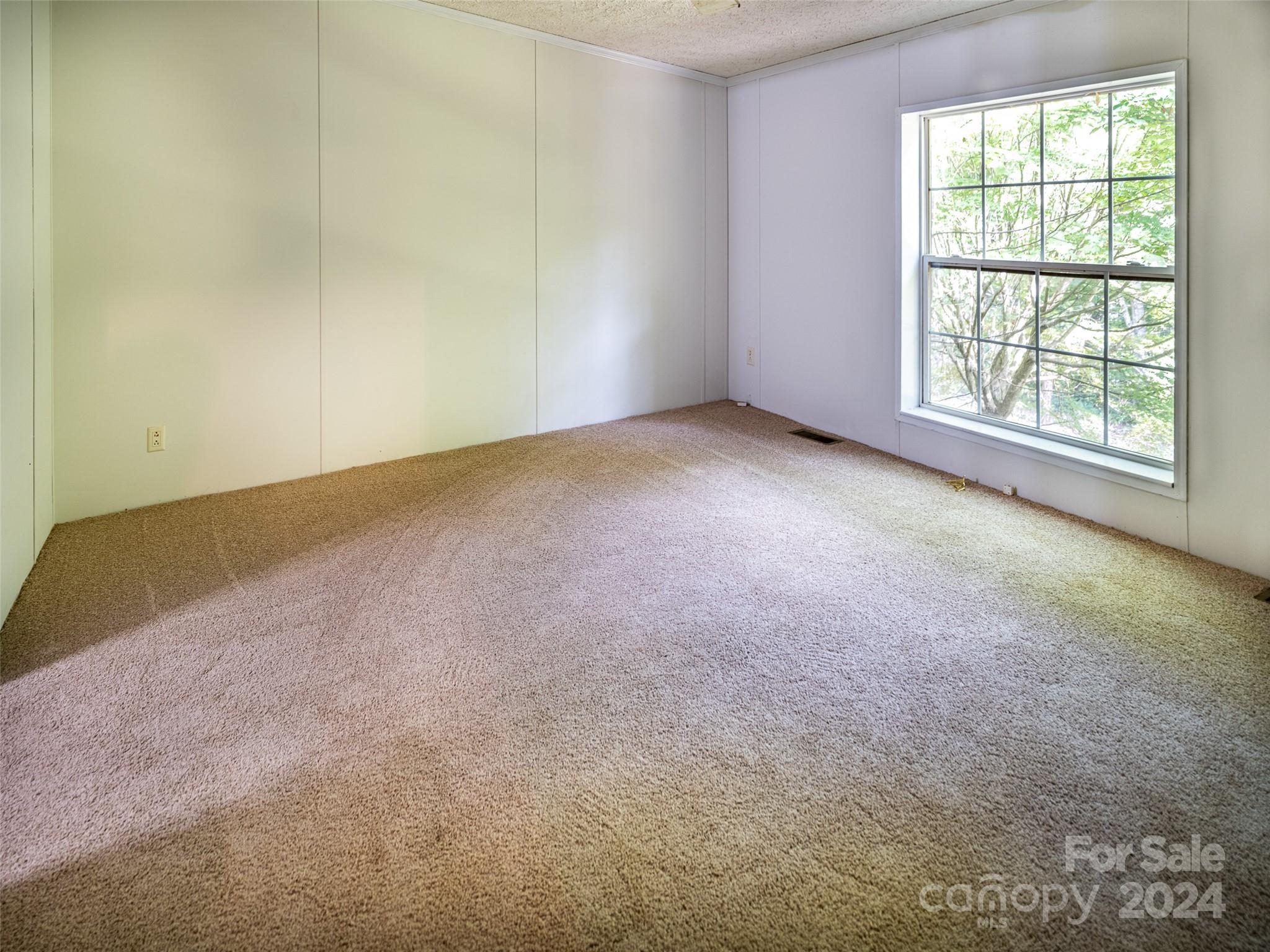 115 Sleepy Forest Drive