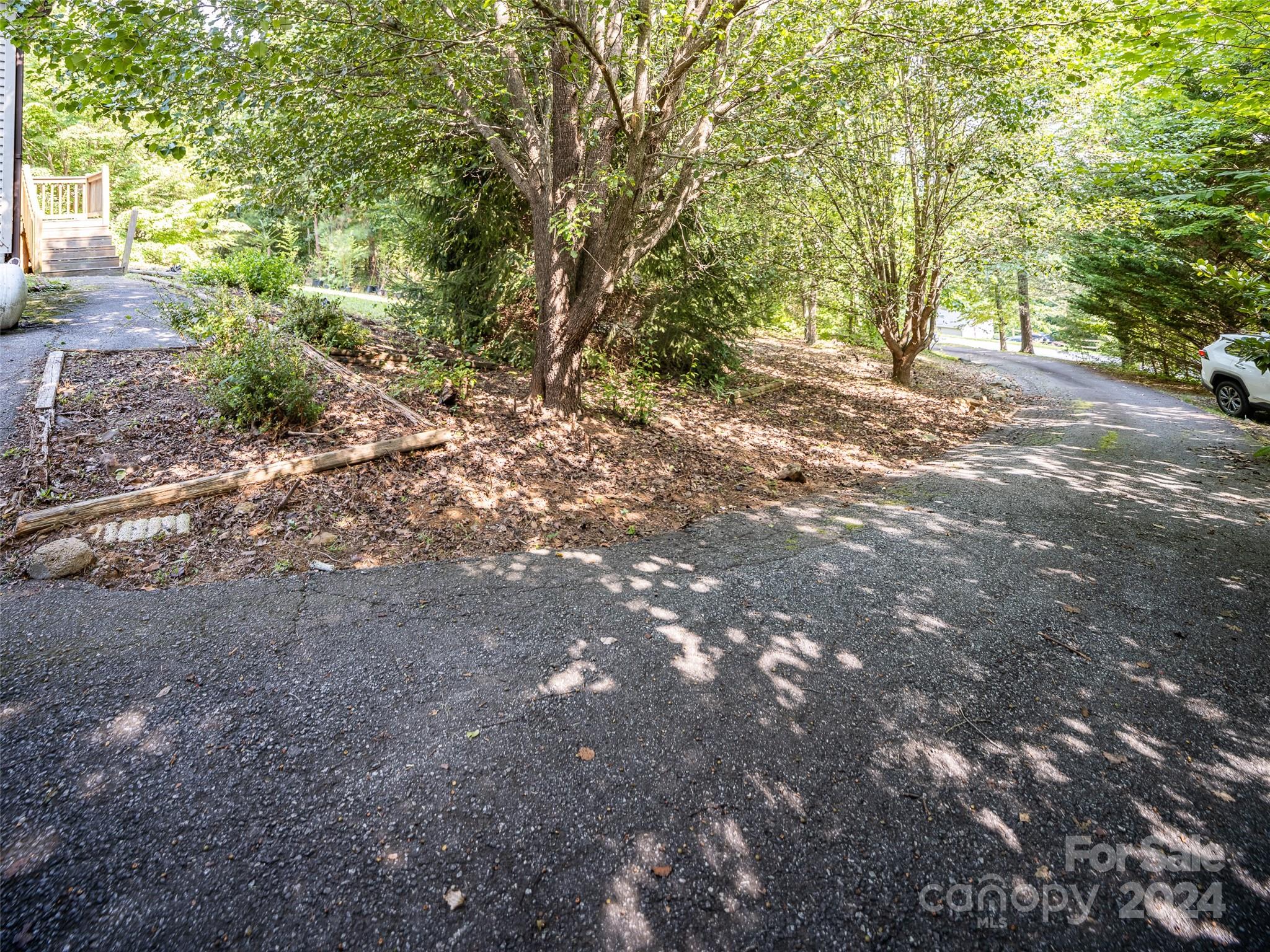 115 Sleepy Forest Drive