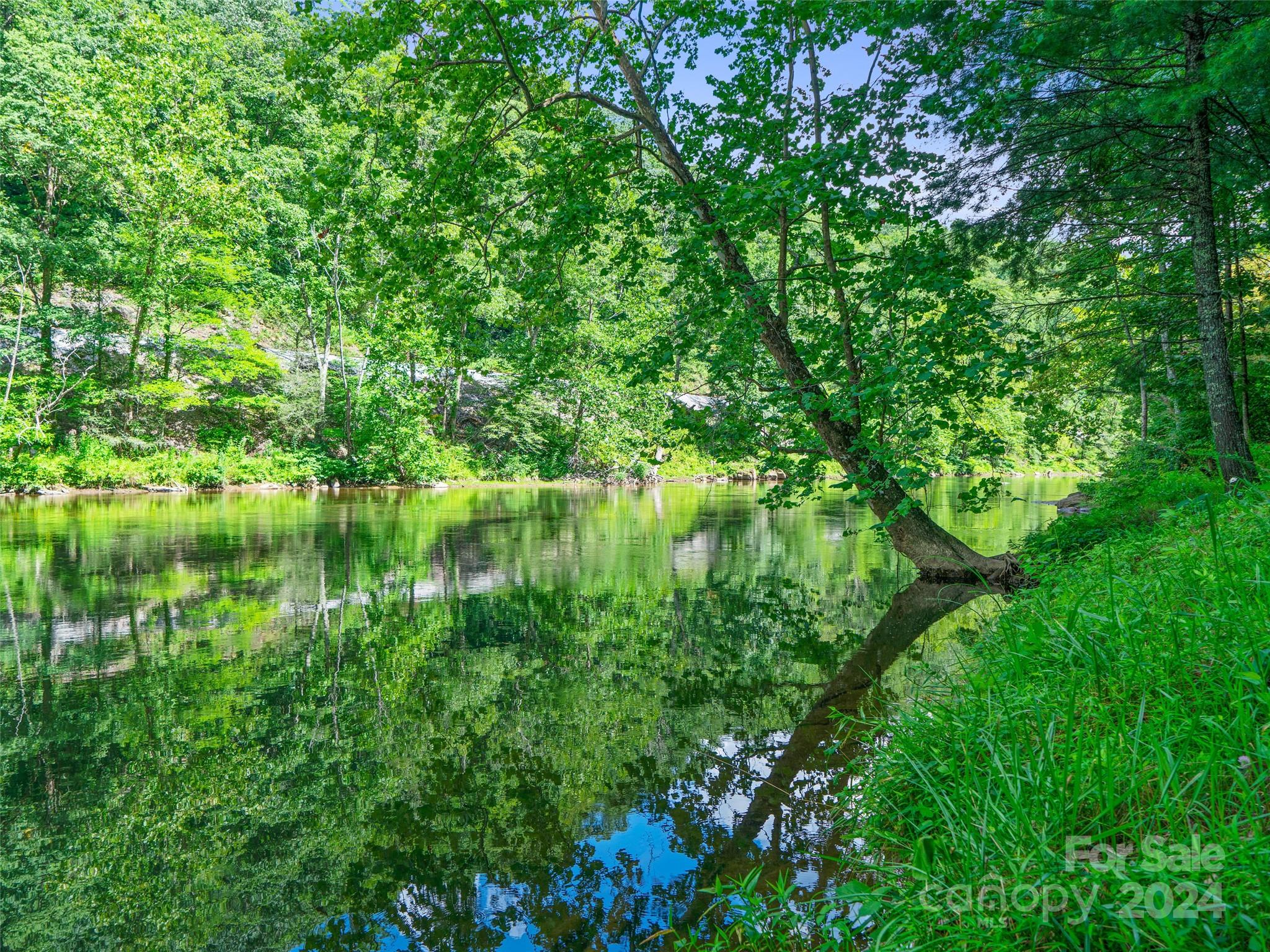 230 Cow Branch Road