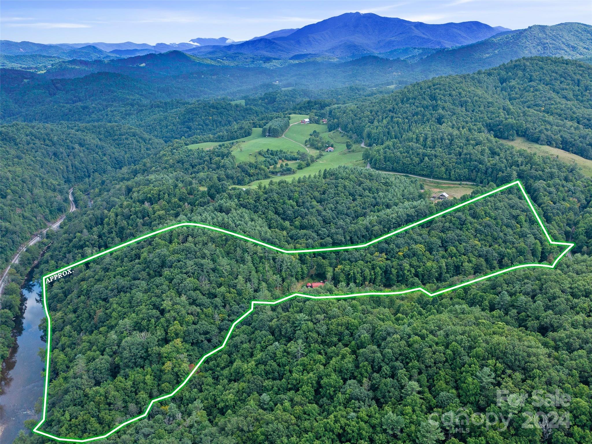 230 Cow Branch Road