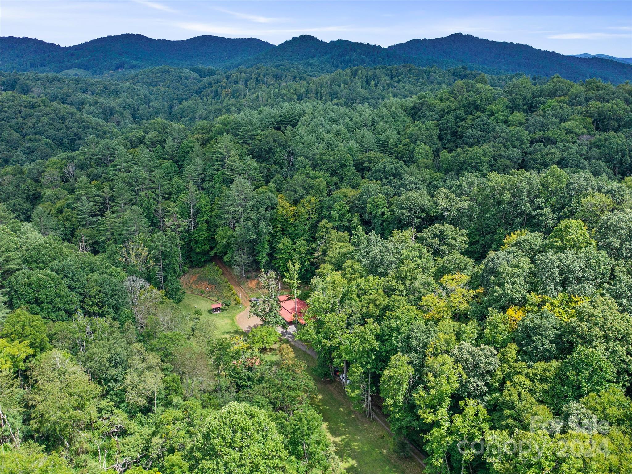 230 Cow Branch Road