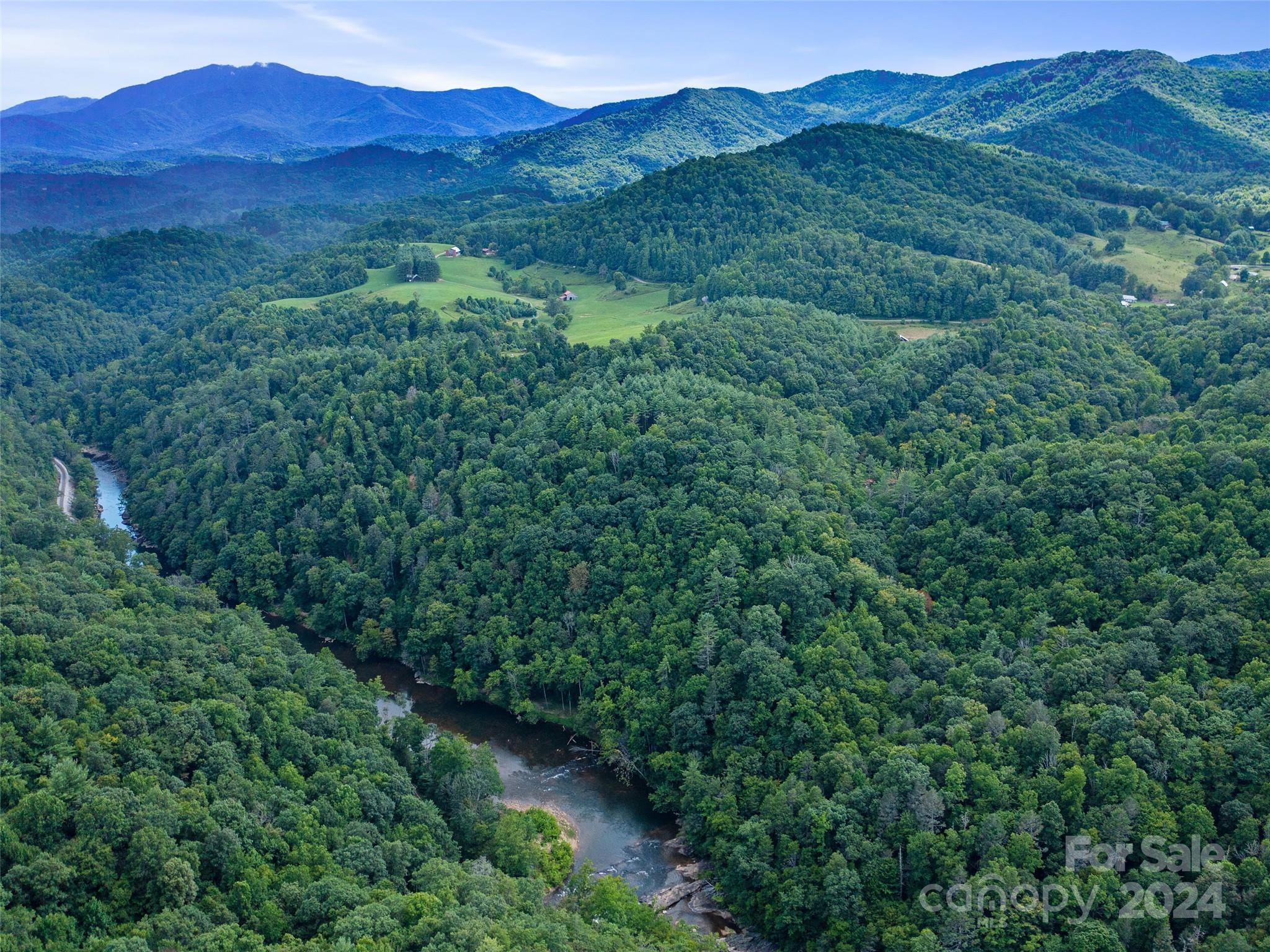 230 Cow Branch Road