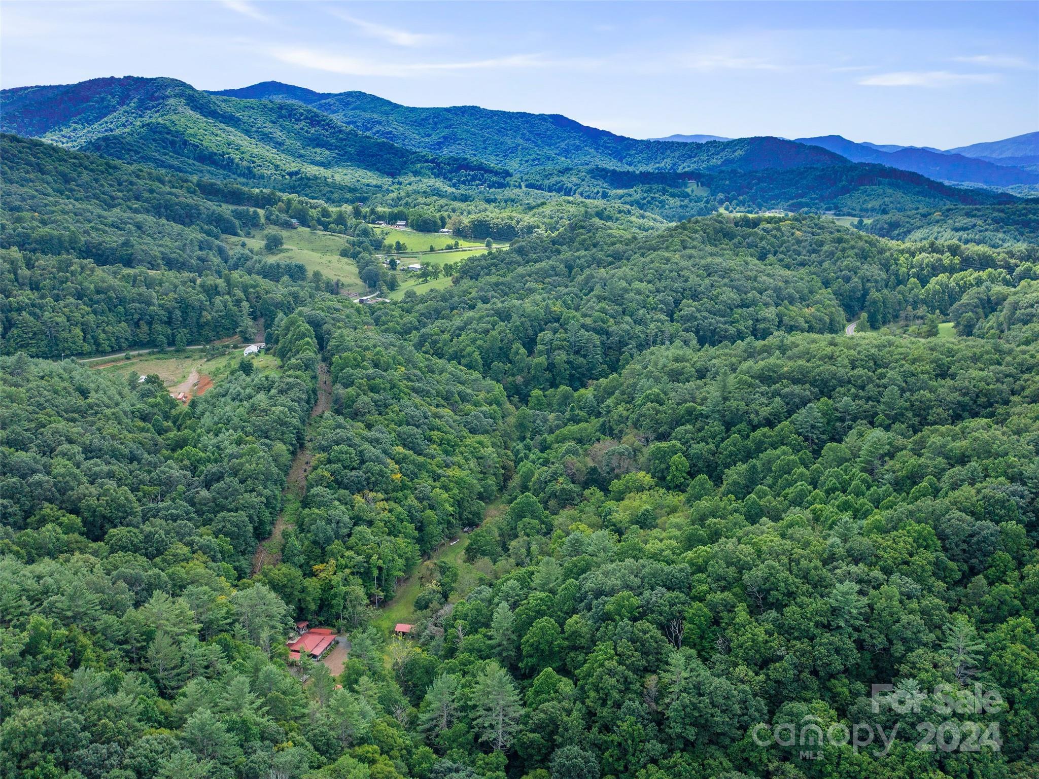 230 Cow Branch Road