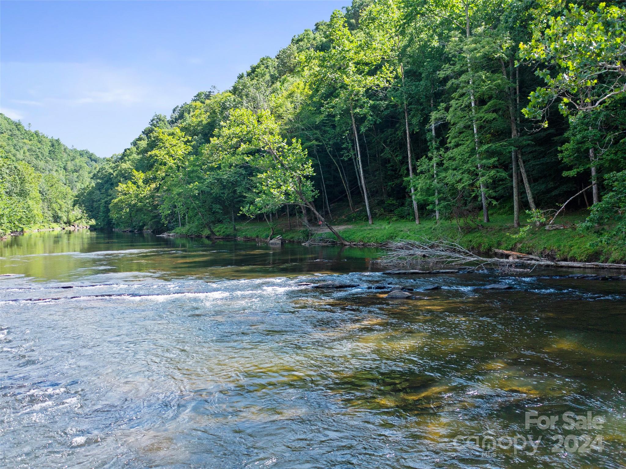 230 Cow Branch Road