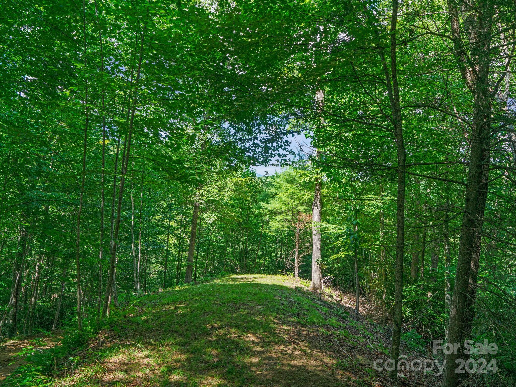230 Cow Branch Road