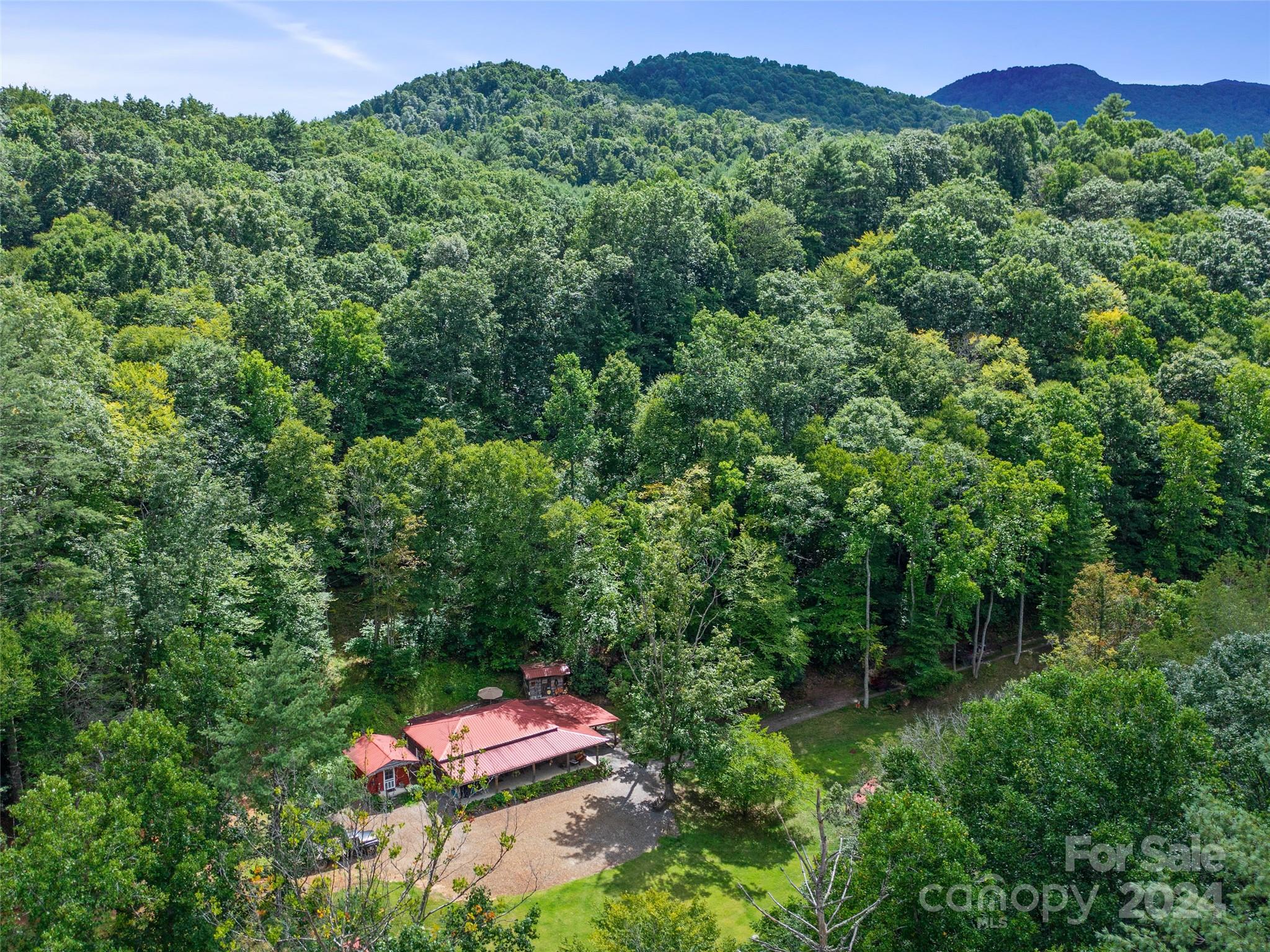 230 Cow Branch Road