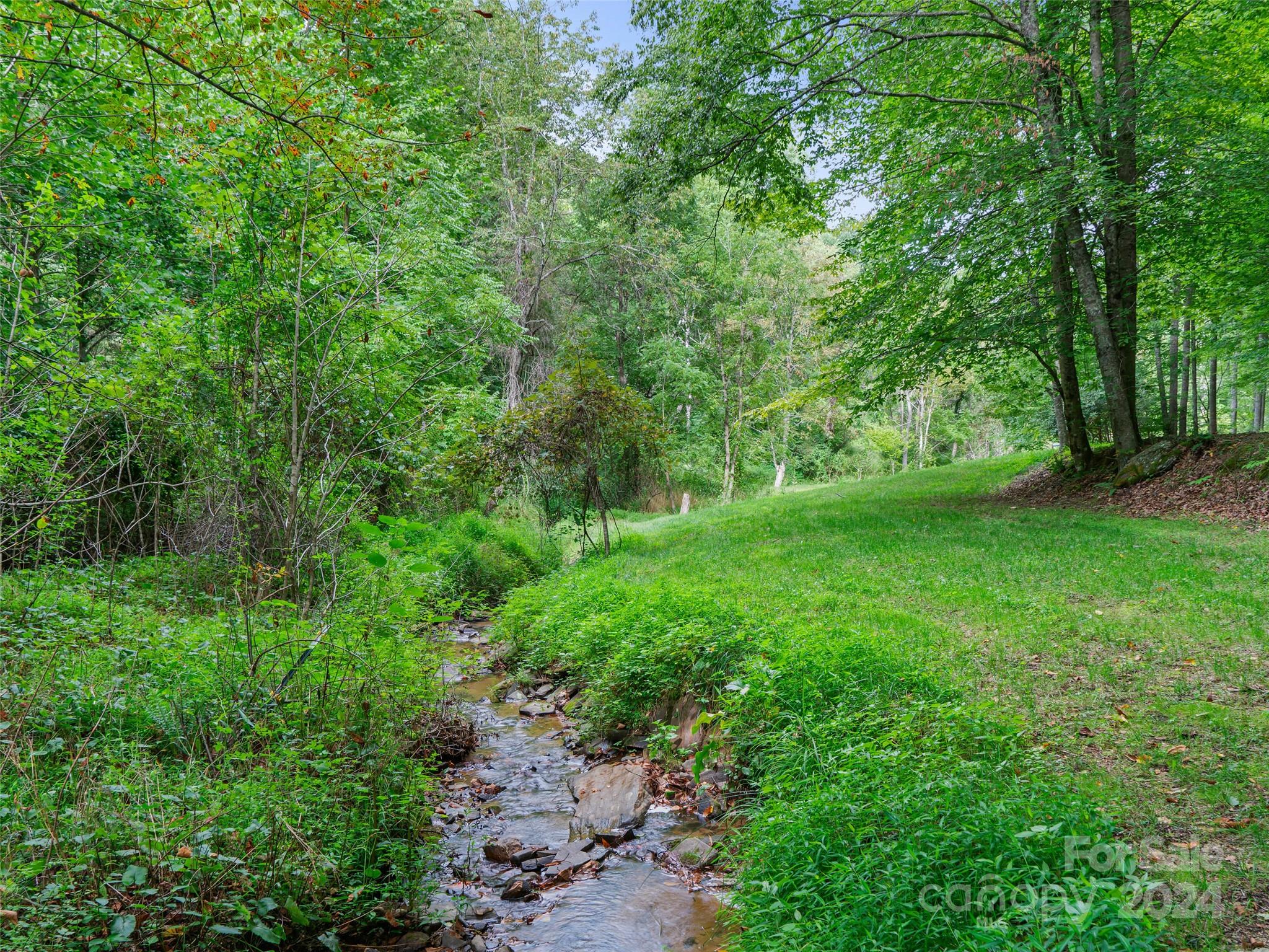 230 Cow Branch Road