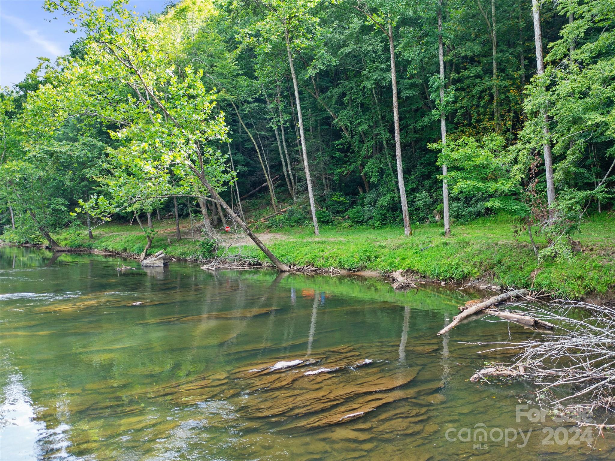 230 Cow Branch Road