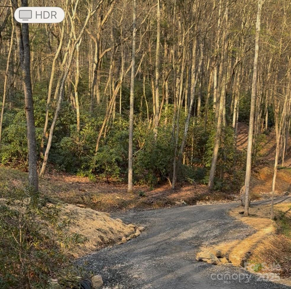 99999 Brooksong Drive