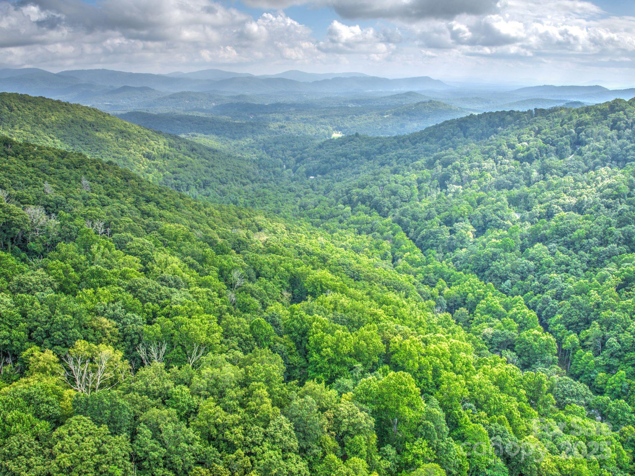 48 Black Oak Forest Road