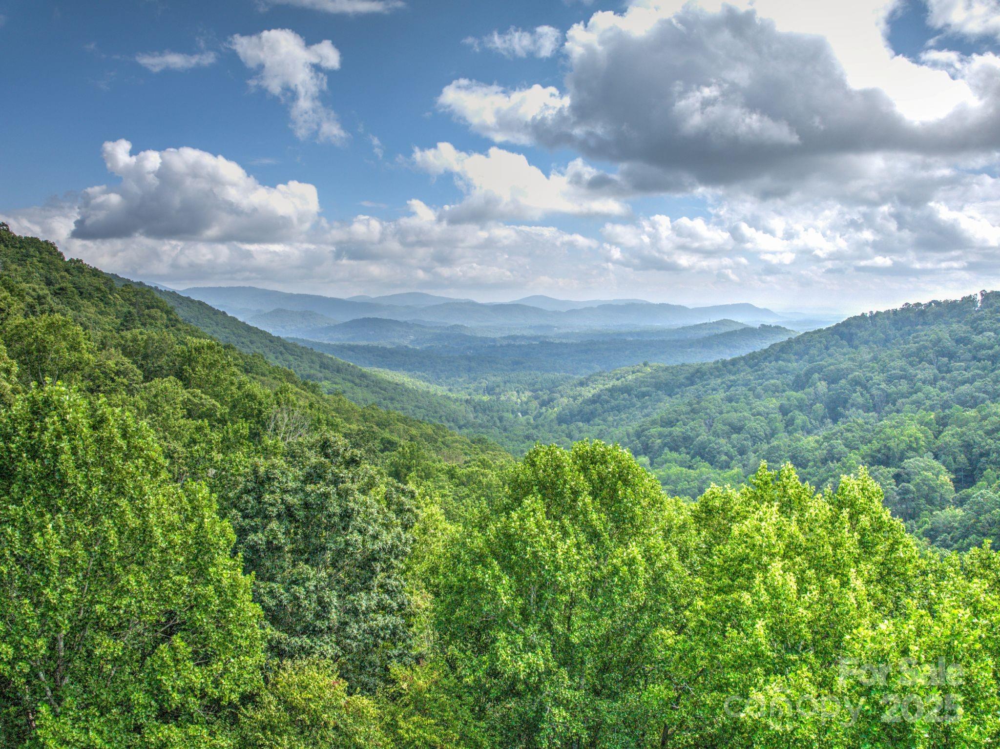 48 Black Oak Forest Road