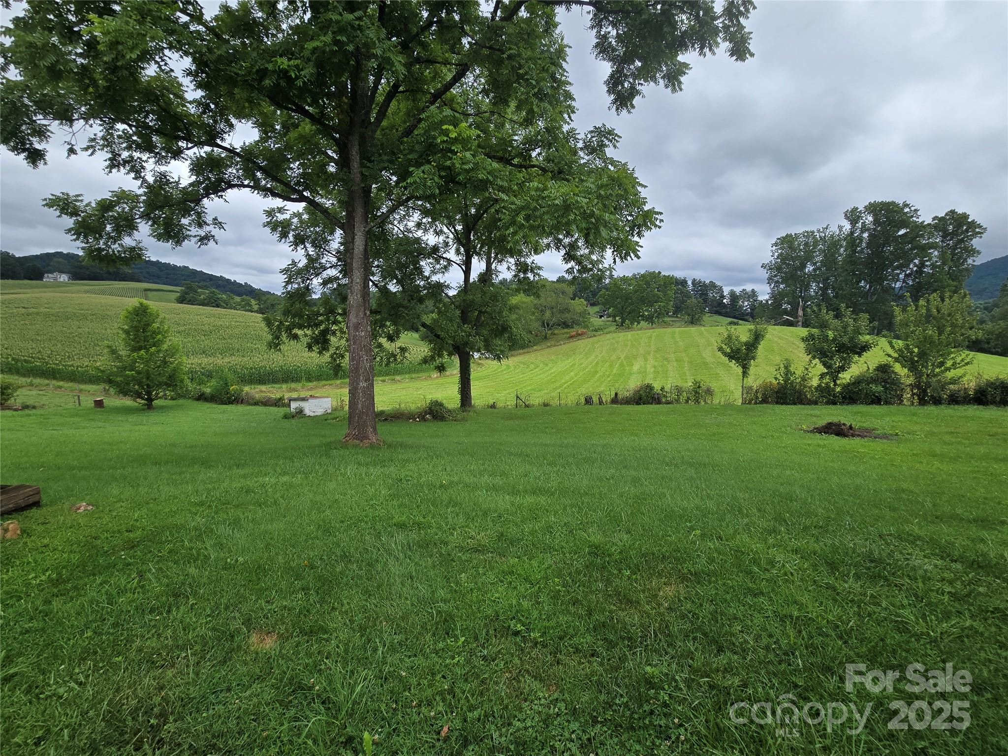 61 Brooks Branch Road