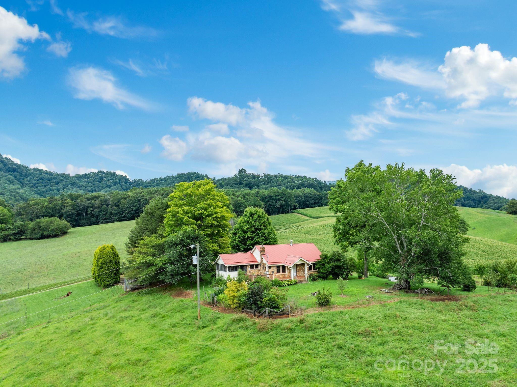 61 Brooks Branch Road