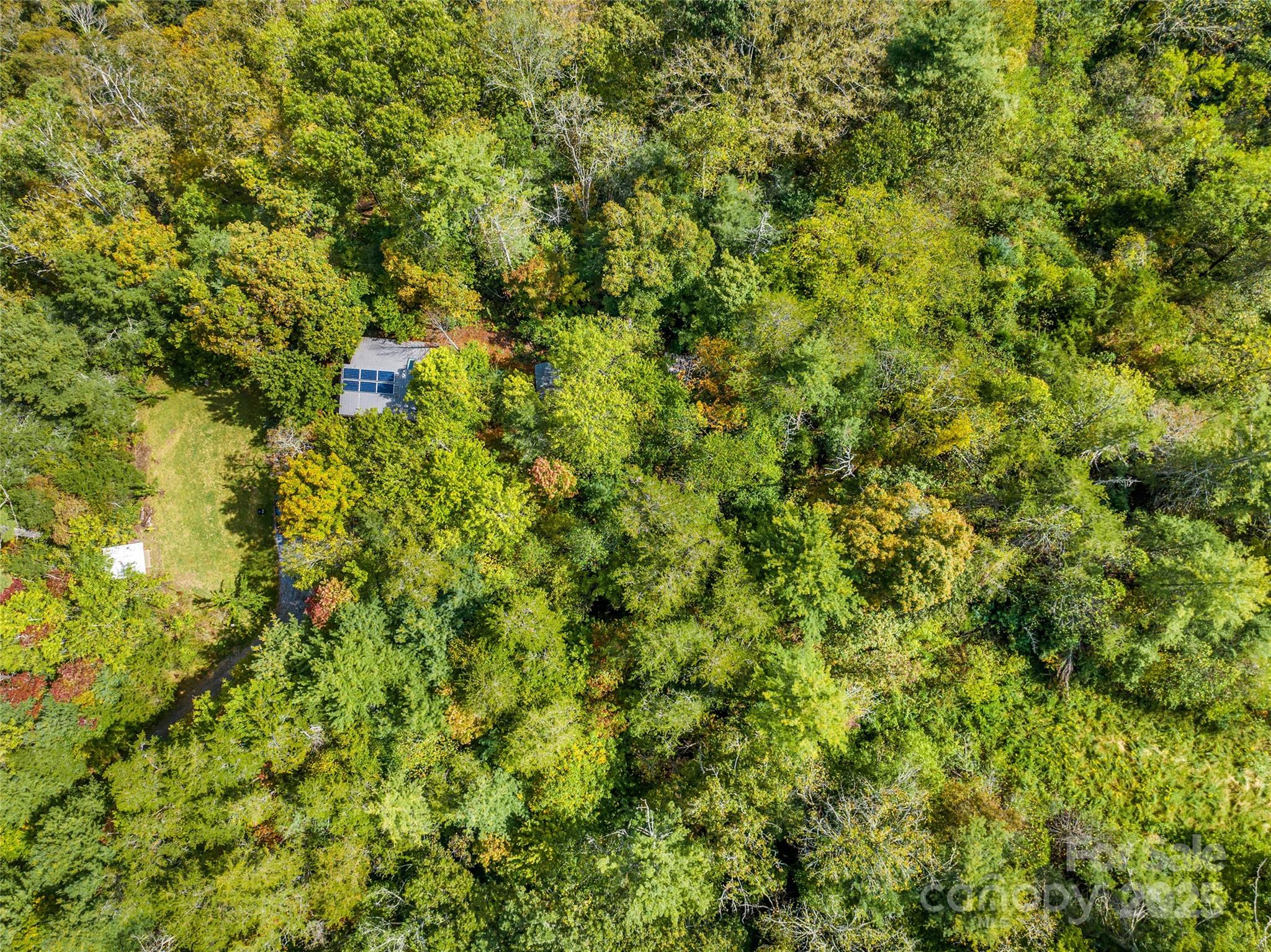 160 ivy bluffs Road