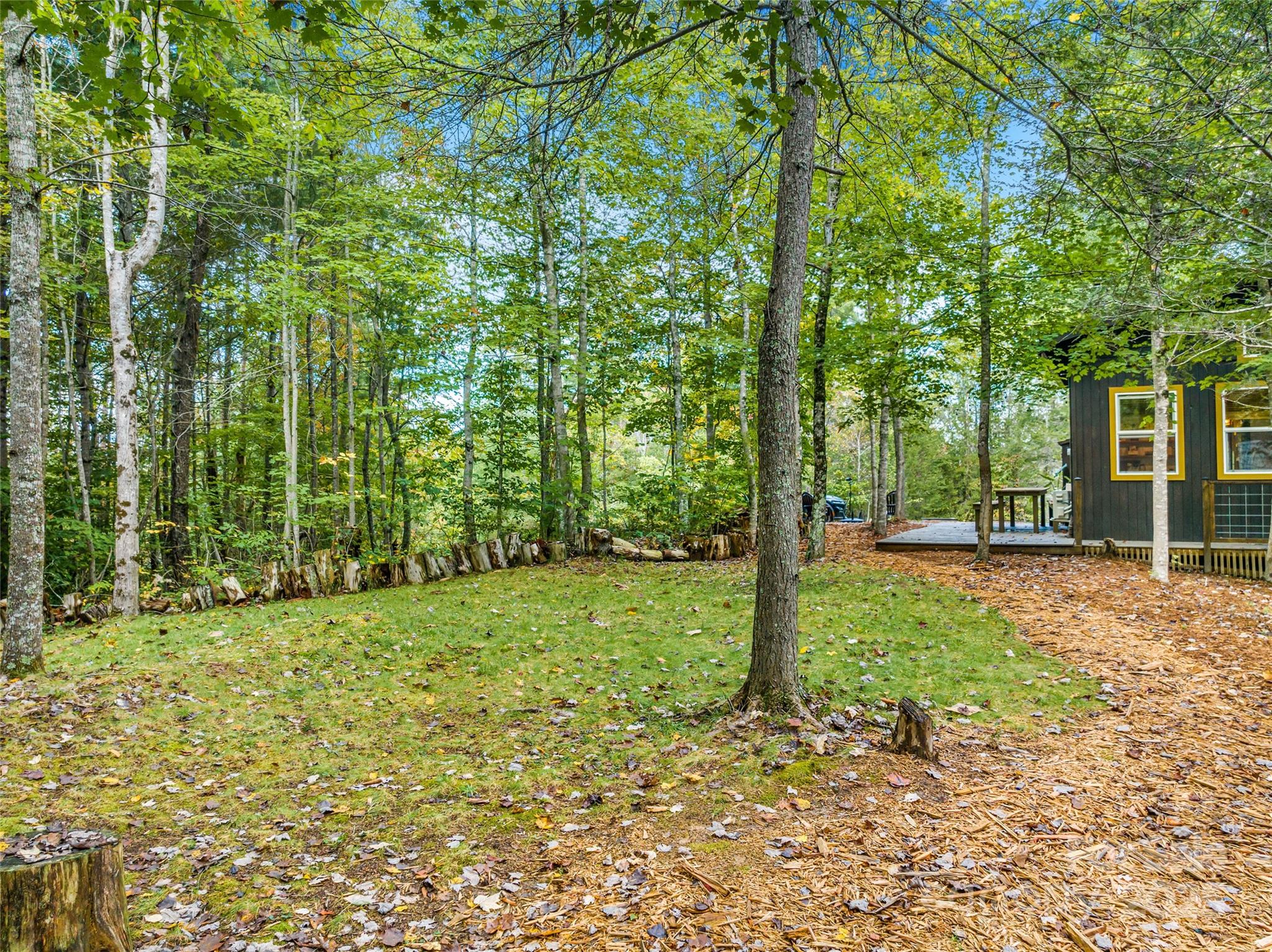 160 ivy bluffs Road