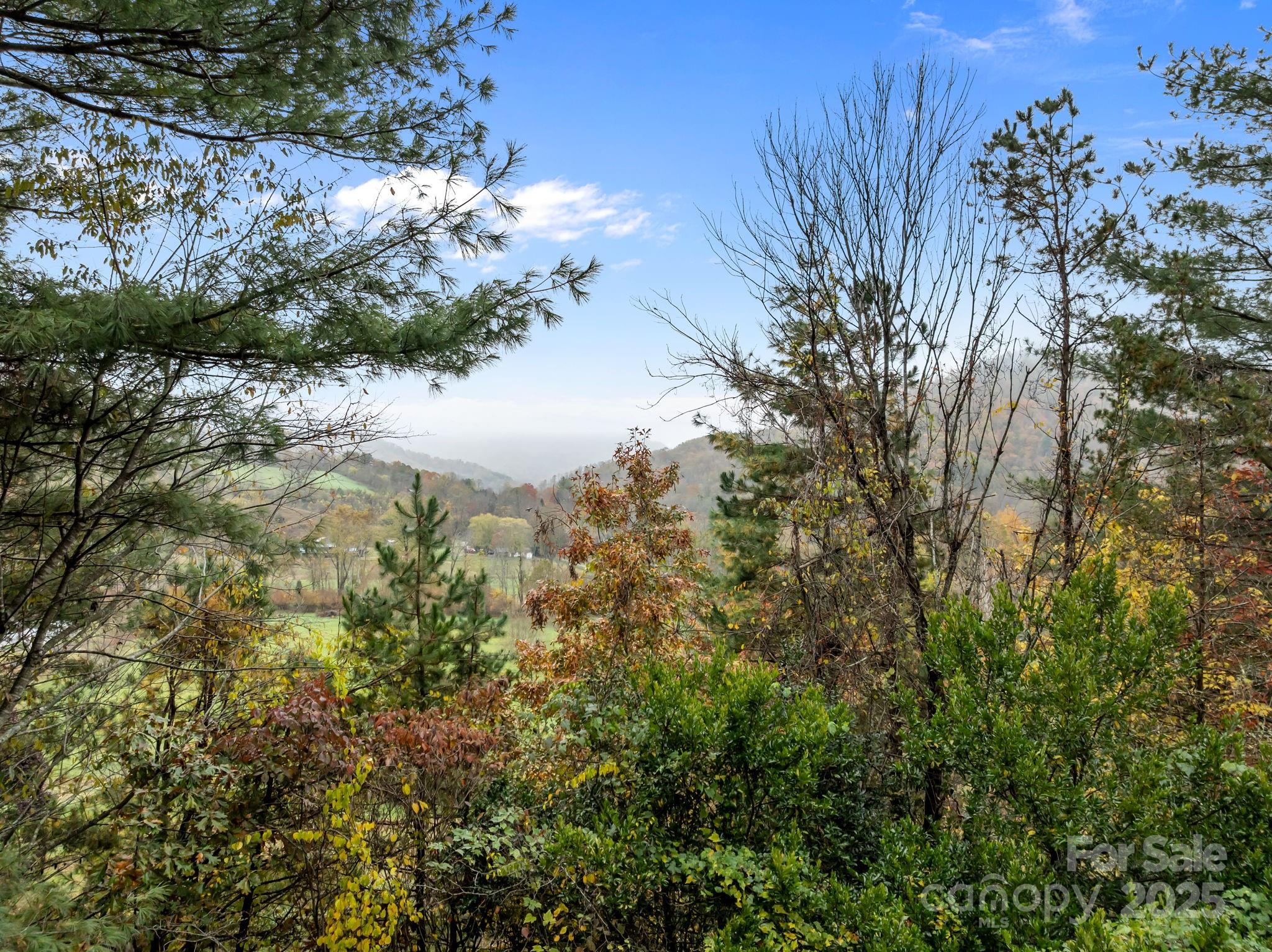 849 Reems Creek Road