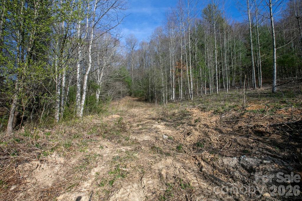 TBD Middlefork Road