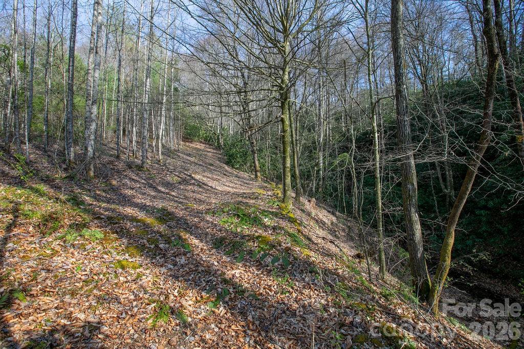 TBD Middlefork Road