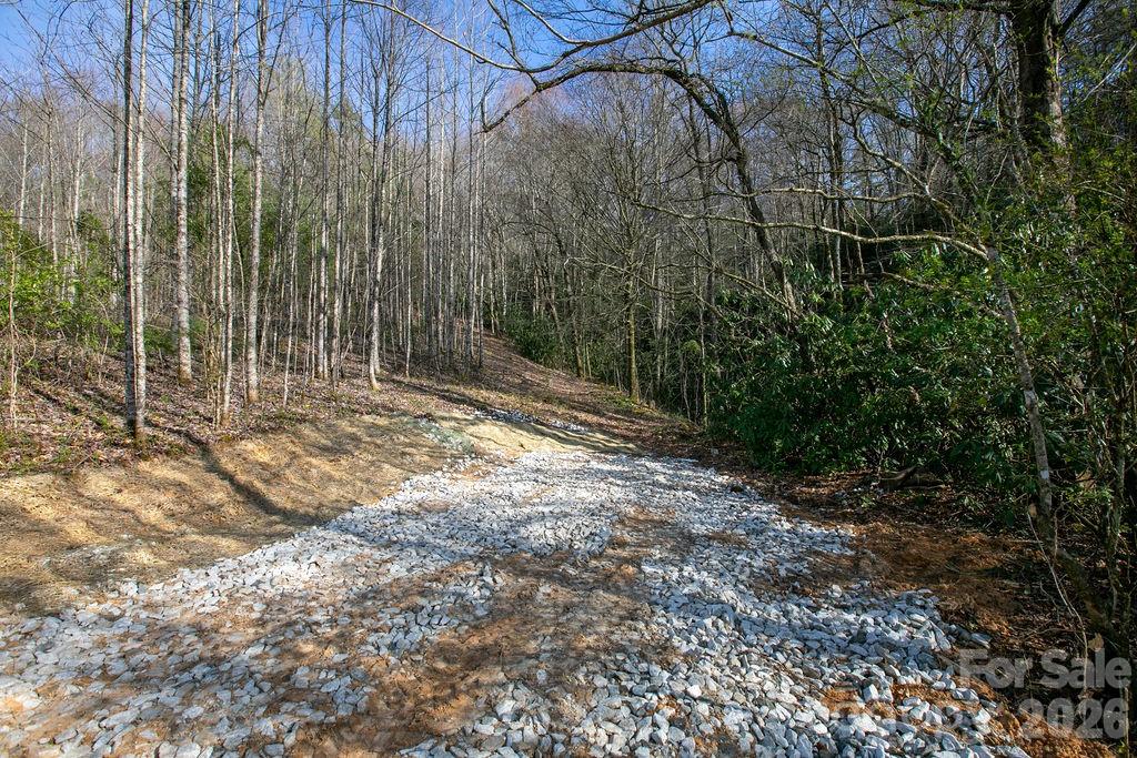 TBD Middlefork Road
