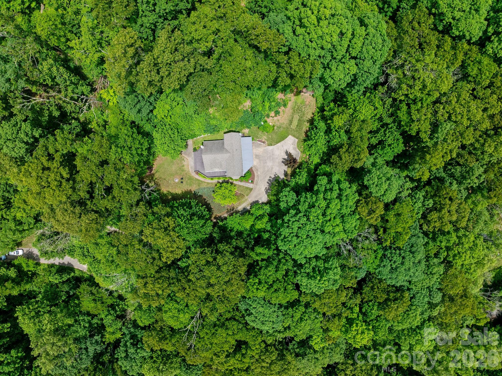 174 deep woods Trail