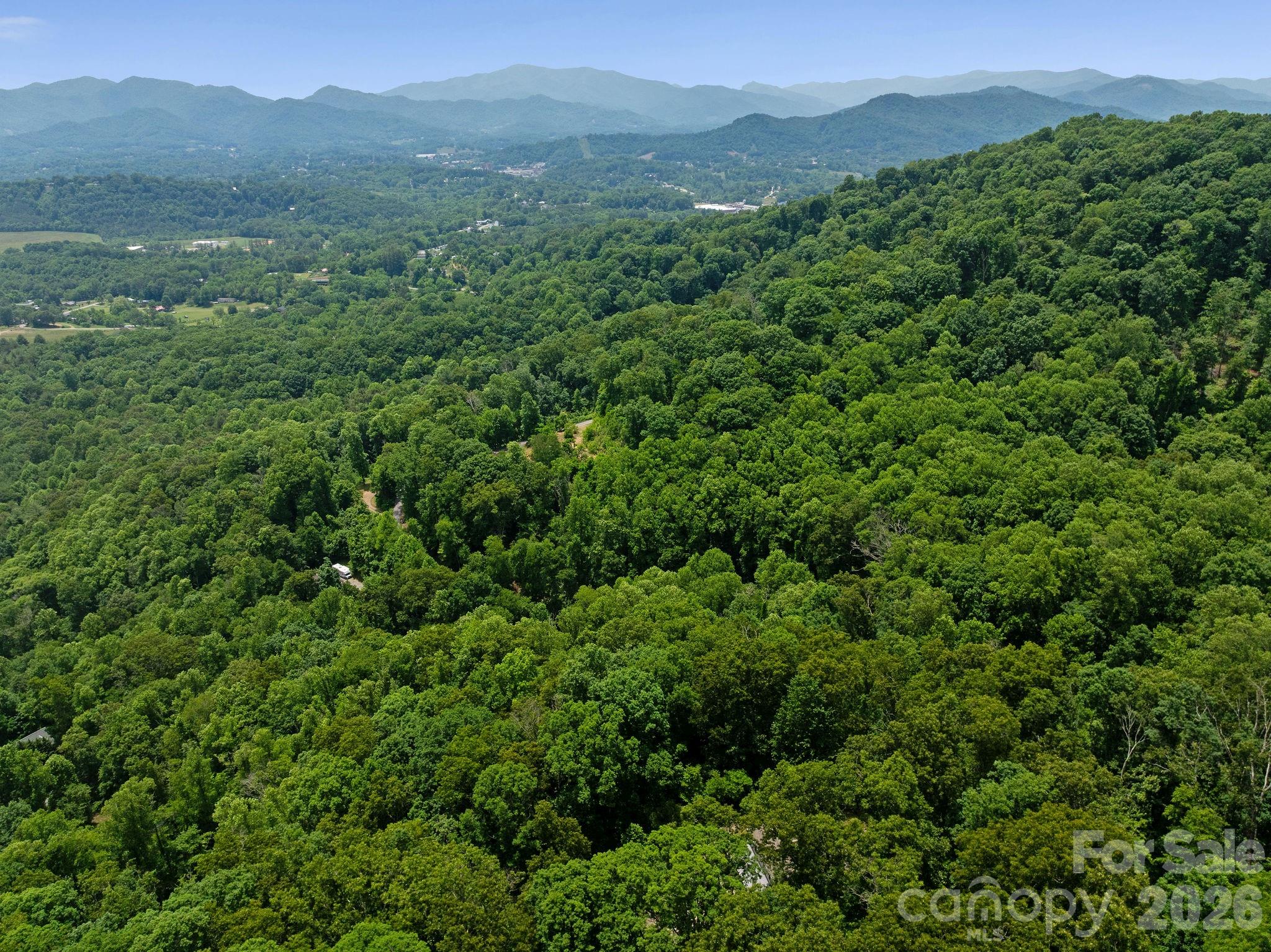 174 deep woods Trail