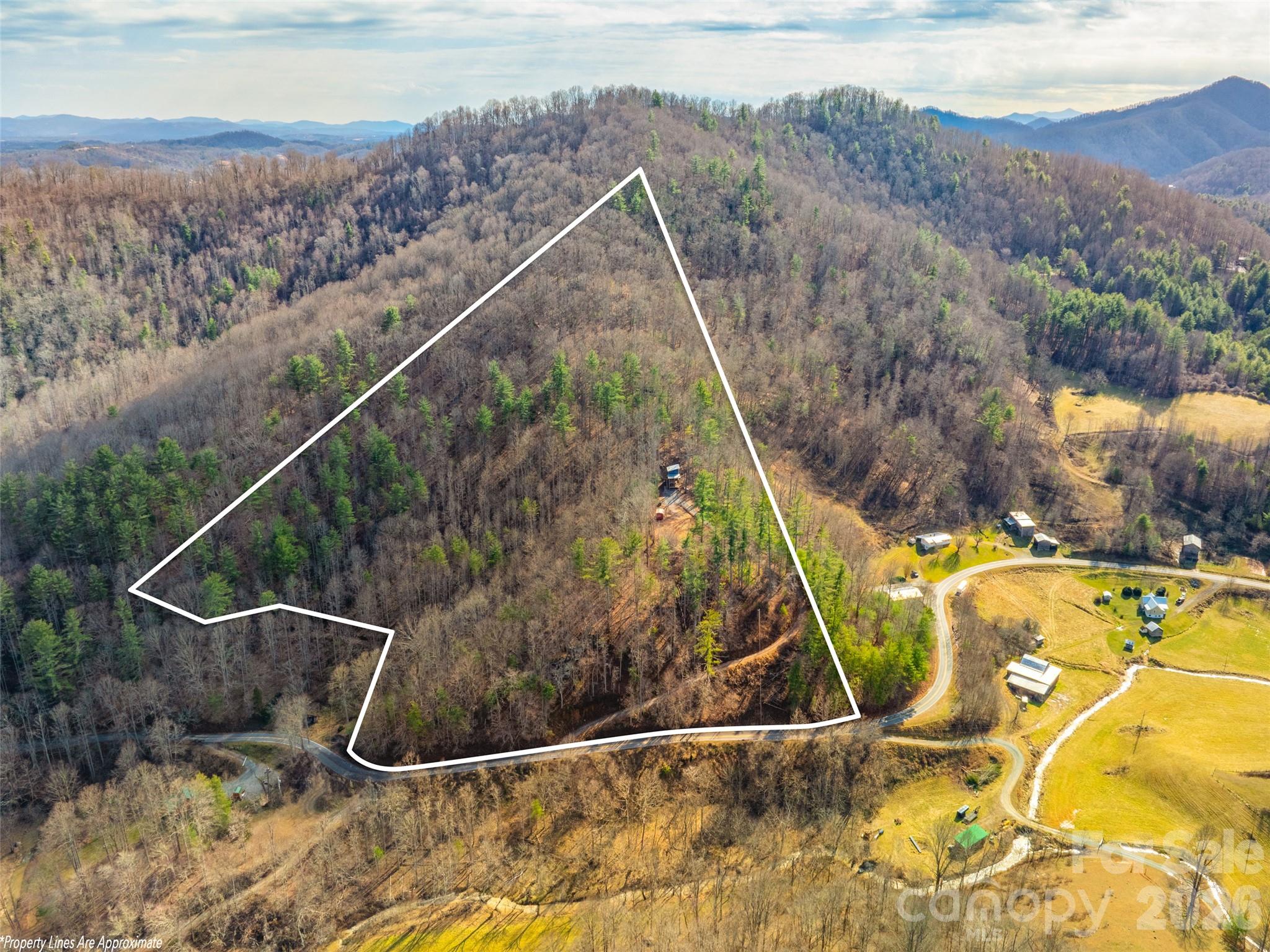 Aerial view of a wooded mountain parcel outlined in white, with a road along its lower edge.