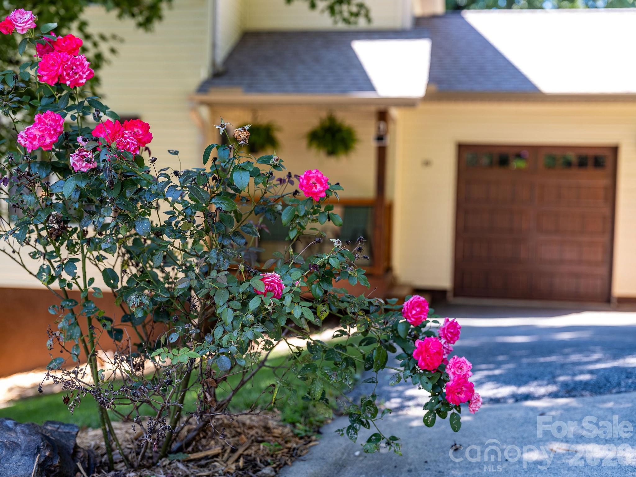 19 Oakcrest Place
