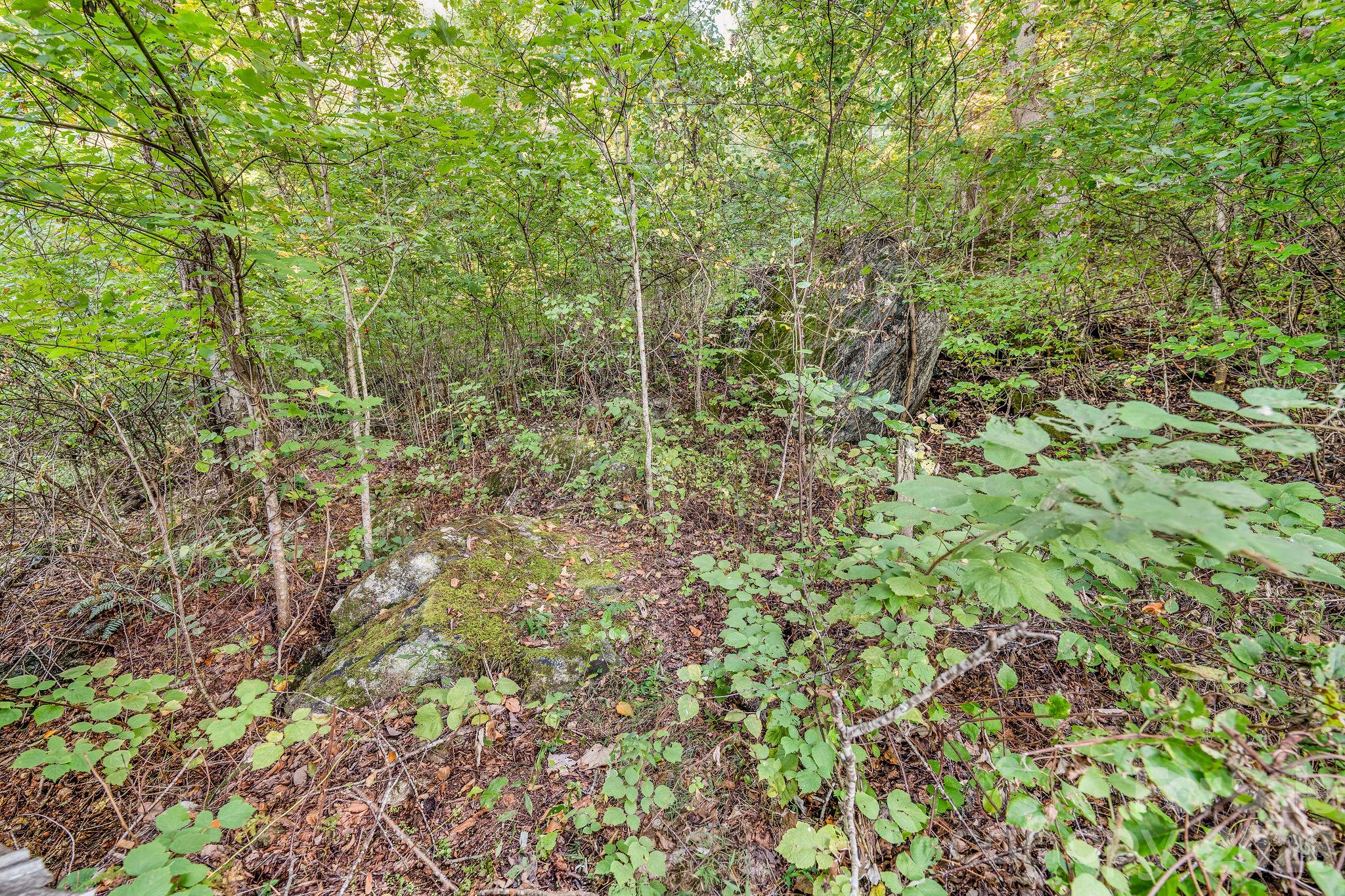 74 Lanzi Ledge Road
