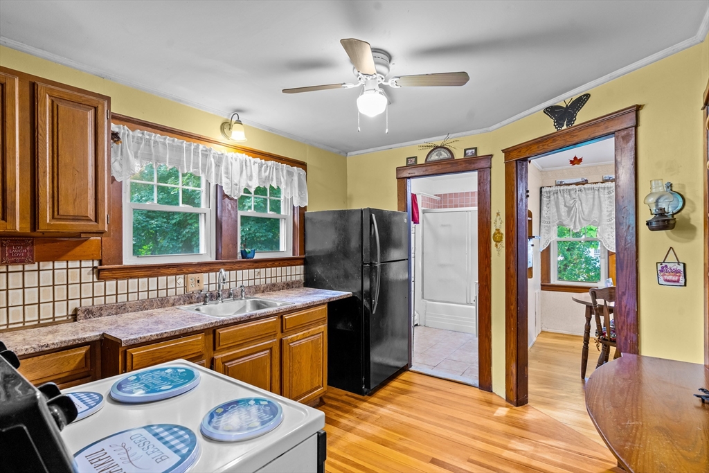 7 White Avenue