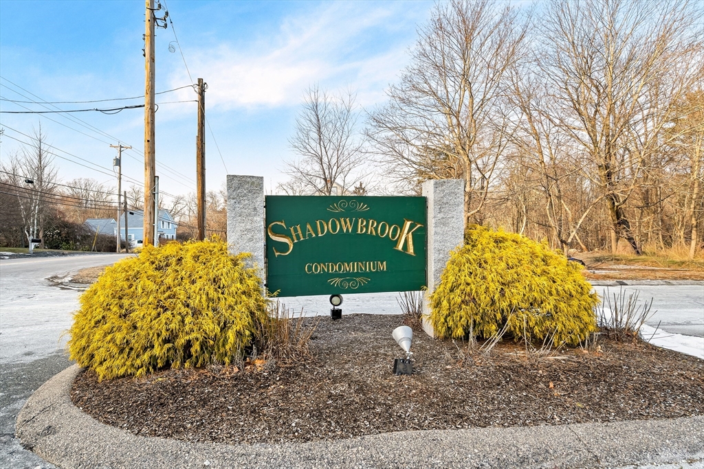 8 Shadowbrook Ln # 39