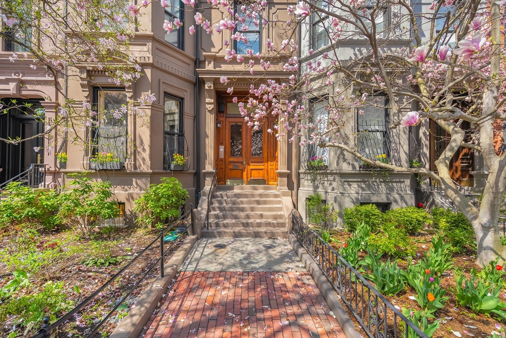 319 Marlborough Street # 1