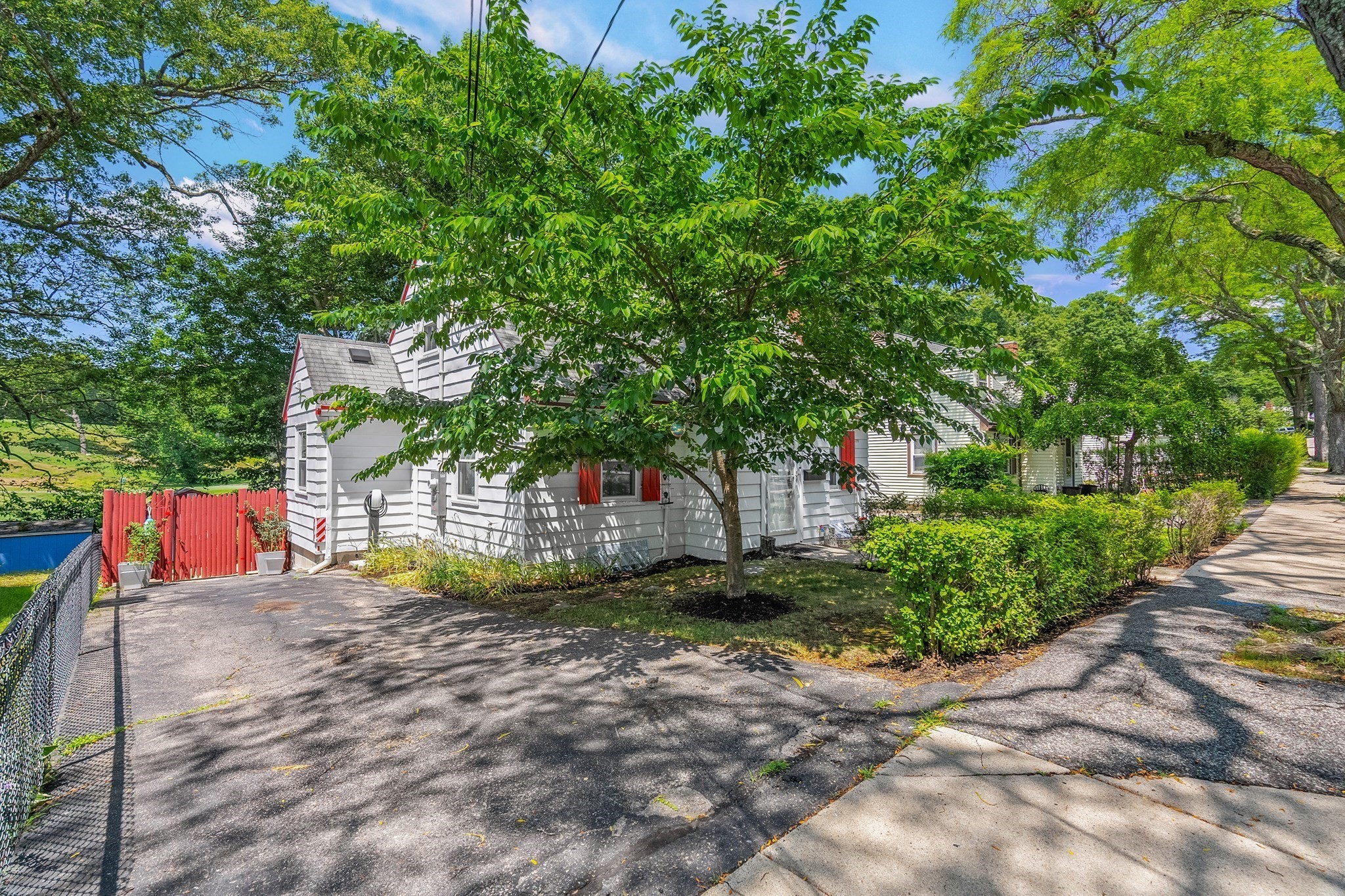 567 Poplar Street