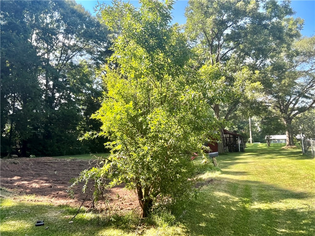 1503 RIDGE ROAD