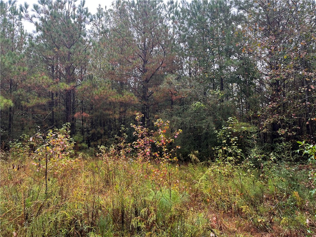 0 COUNTY ROAD 30 N/A