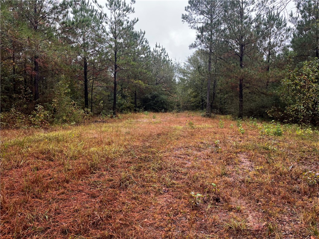 0 COUNTY ROAD 30 N/A