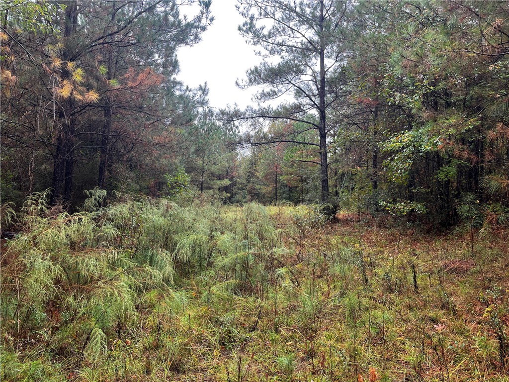 0 COUNTY ROAD 30 N/A