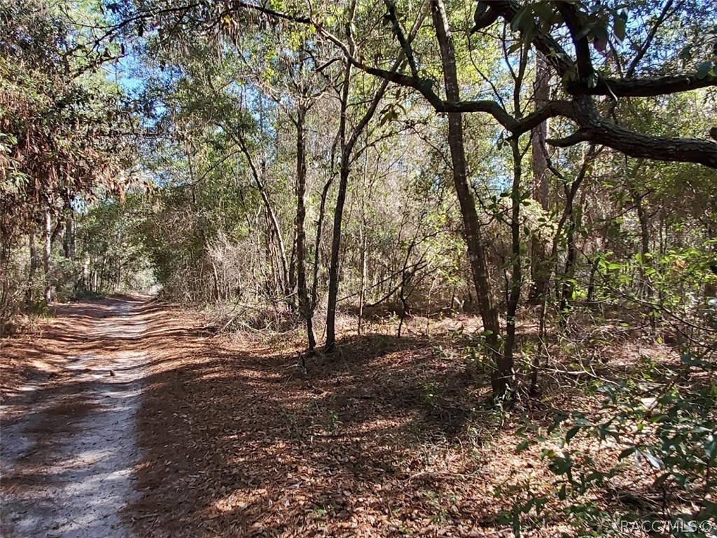 7252 W Contentment Lane