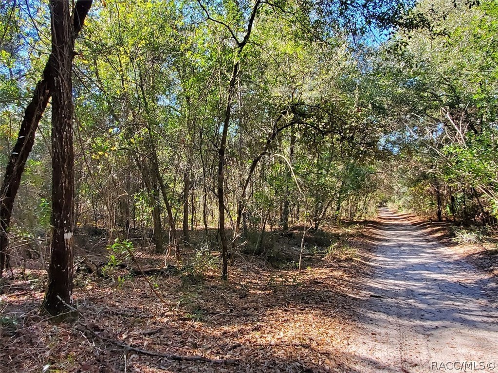 7252 W Contentment Lane